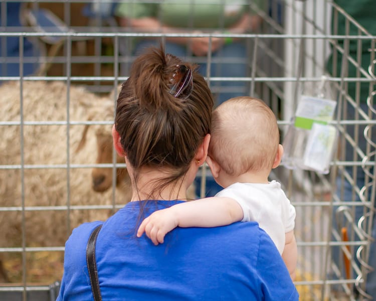 NH Sheep and Wool Festival 2012