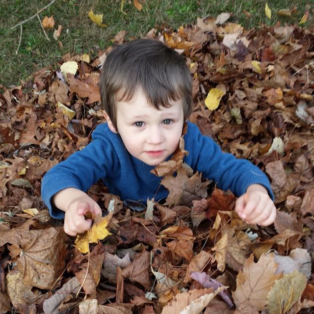 boy covered in leaves