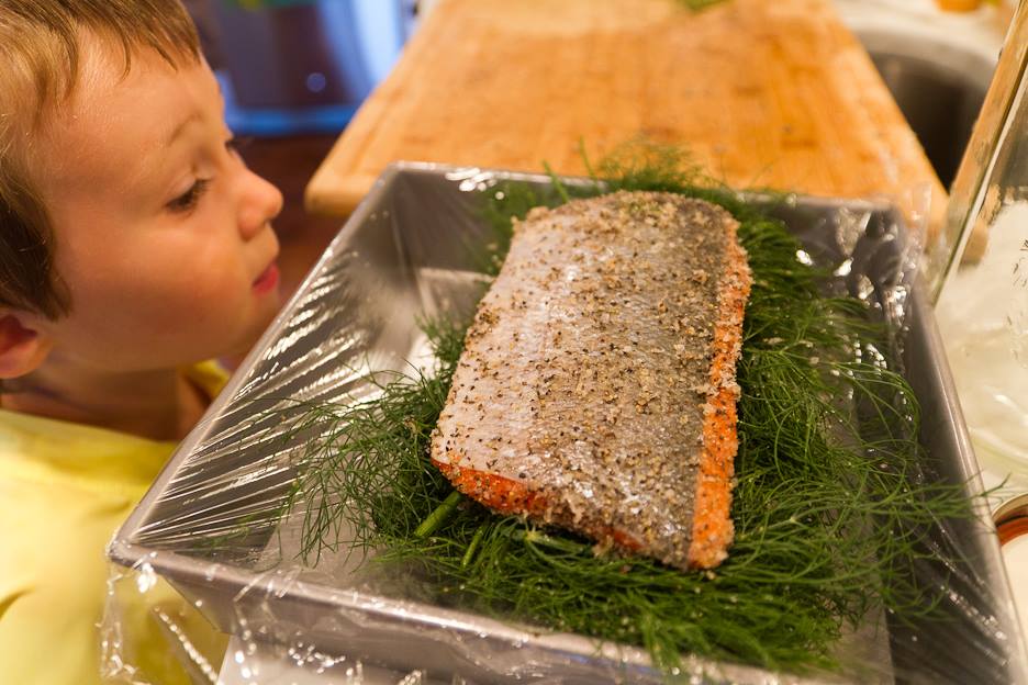 Boy's face peeking at seasoned salmon and dill on kitchen counter