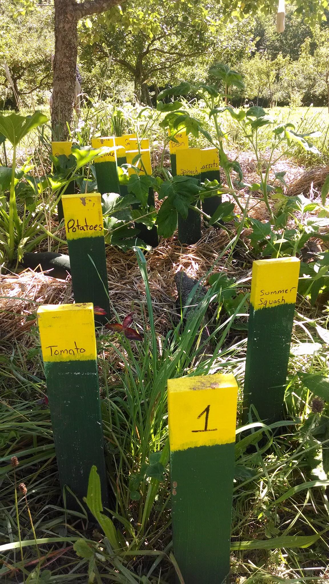 signs marking test plots of vegetables under apple trees