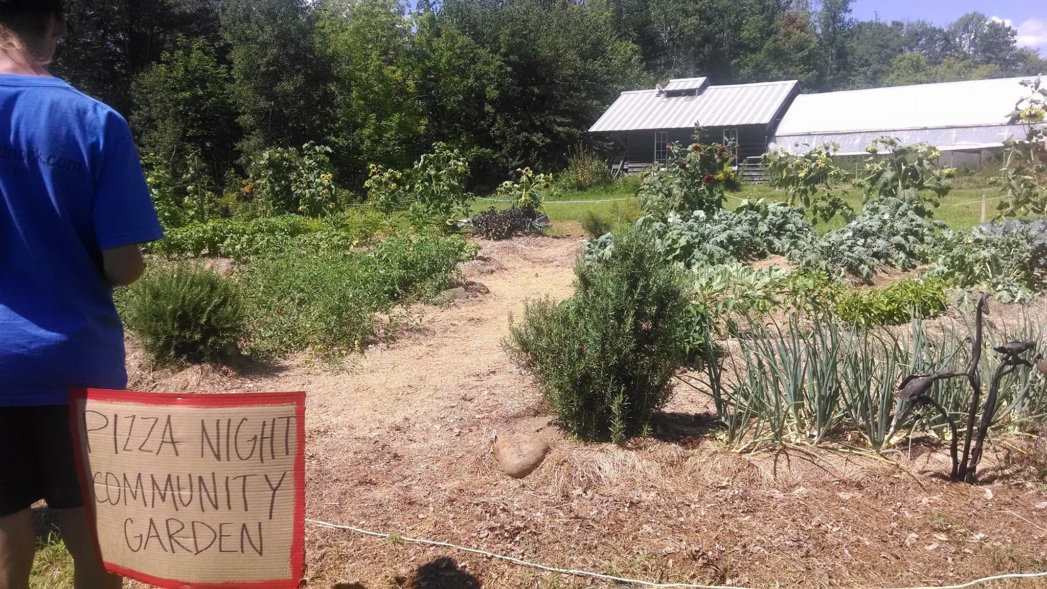 well-grown garden with a sign reading 'pizza night communi garden'