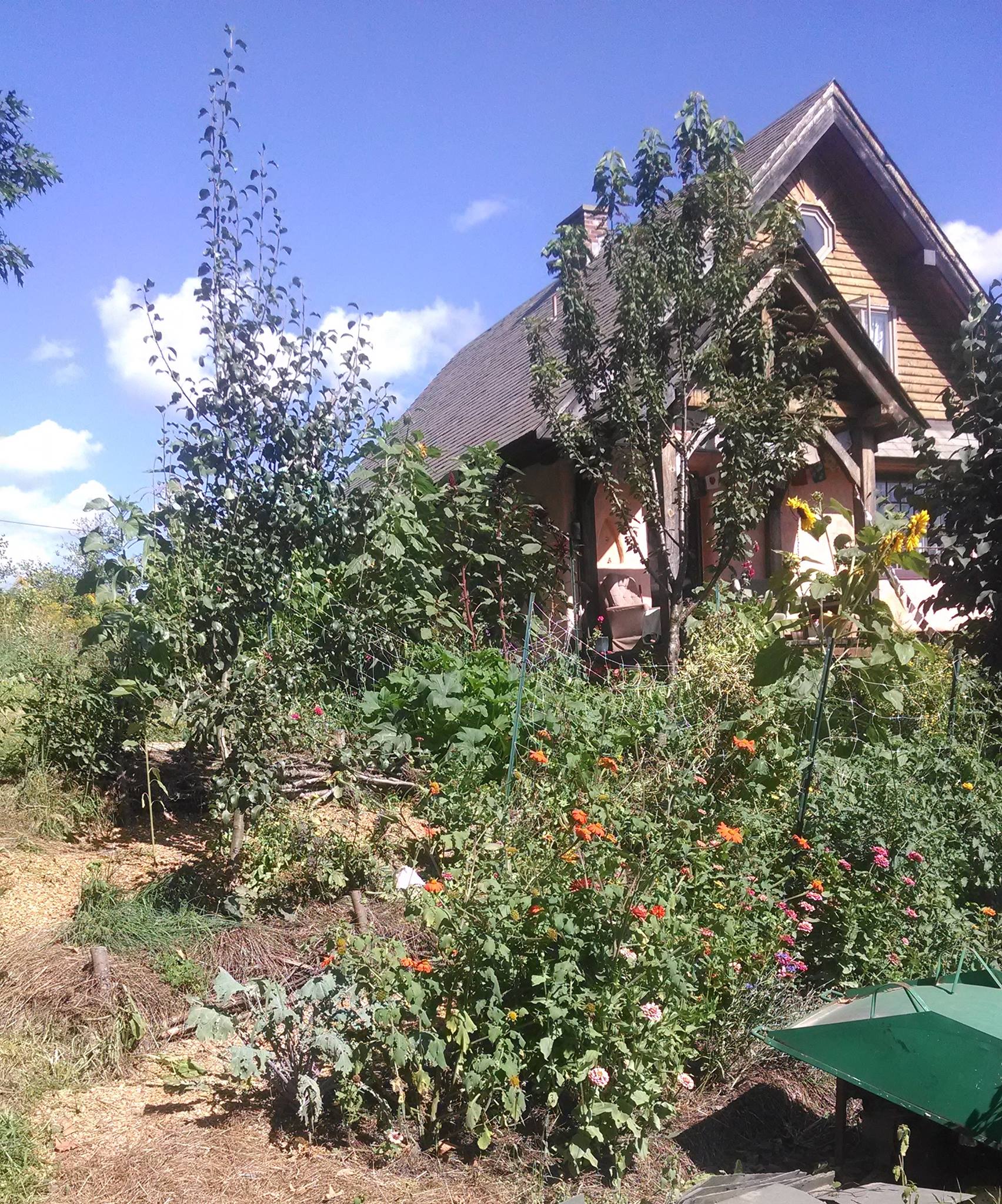 small house with landscaping using permaculture methodologie